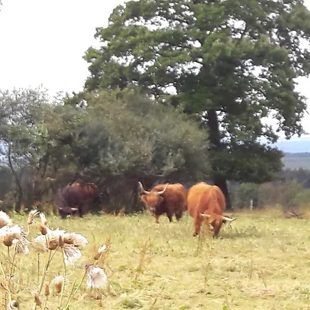 Le Ranch Don Diego
